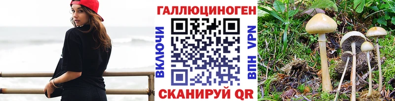 даркнет сайт  Чебоксары  Галлюциногенные грибы Psilocybe 